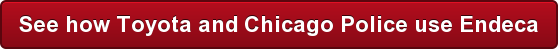 See how Toyota and Chicago Police use Endeca