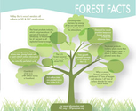 forest-facts-thumb