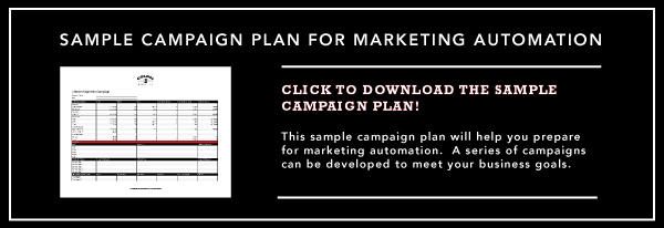 Sample Campaign Plan For Marketing Automation