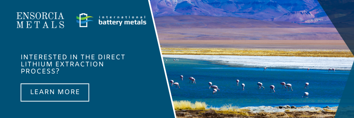 Direct Lithium Extraction Process