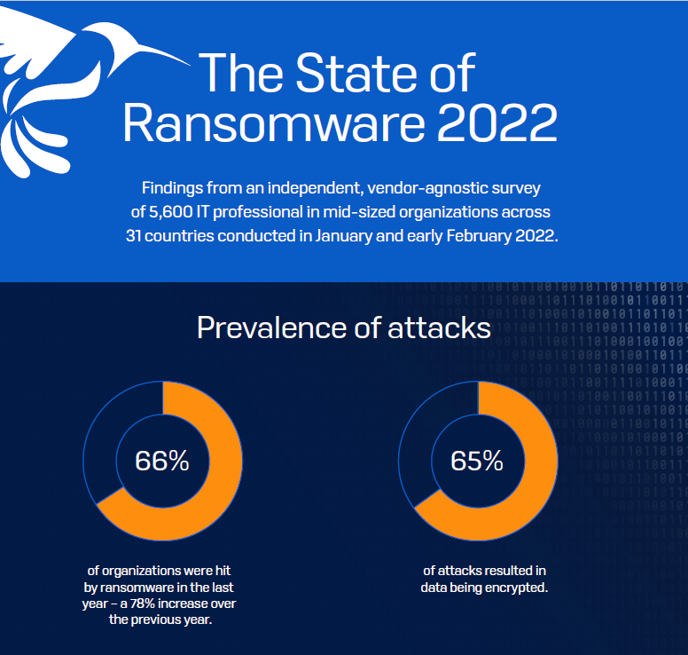 Click To Download The Full Report