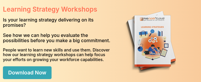 Learning Strategy Workshops