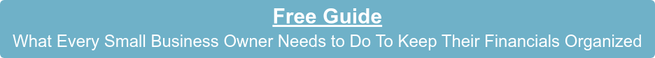 Free Guide  What Every Small Business Owner Needs to Do To Keep Their Financials Organized