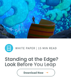 Download "Standing at the Edge? Look Before You Leap" Now!