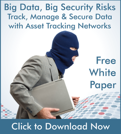 Free White Paper - Big Data, Big Security Risks