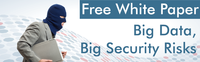 Free White Paper - Big Data, Big Security Risks