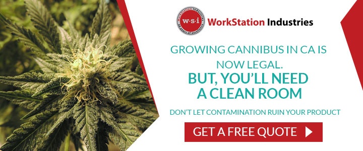 marijuana-plant-cta