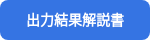 出⼒結果解説書
