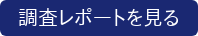 調査レポートを見る