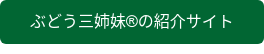 ぶどう三姉妹︎の紹介サイト