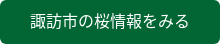 諏訪市の桜情報をみる