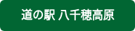 道の駅 八千穂高原