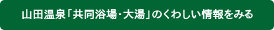 山田温泉「共同浴場・大湯」のくわしい情報をみる