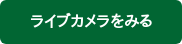 ライブカメラをみる