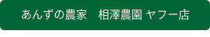 あんずの農家　相澤農園 ヤフー店