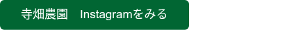 <p>寺畑農園　Instagramをみる</p>