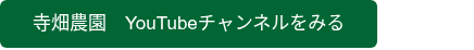 <p>寺畑農園　YouTubeチャンネルをみる</p>