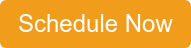 Schedule Now