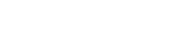 Meet The Team