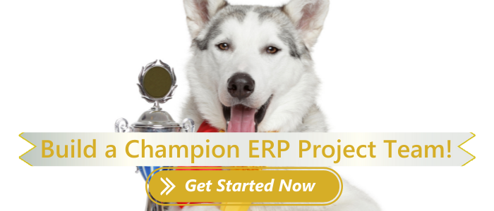 Champions Guide to ERP