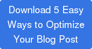Download 5 Easy  Ways to Optimize  Your Blog Post