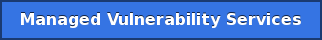Managed Vulnerability Services