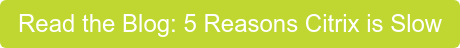 Read the Blog: 5 Reasons Citrix is Slow