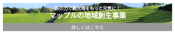 旅の力で観光地をもっと元気に！ マップルの地域創生事業