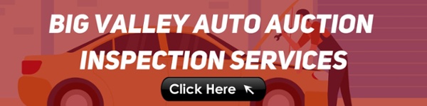 Big Valley Auto Auction Inspection Services banner