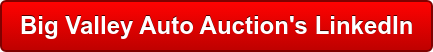 Big Valley Auto Auction's LinkedIn