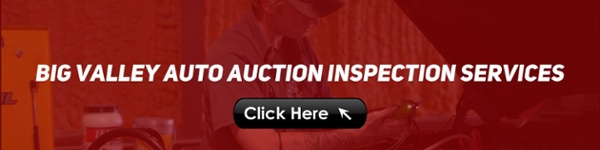 Big Valley Auto Auction Inspection Services banner