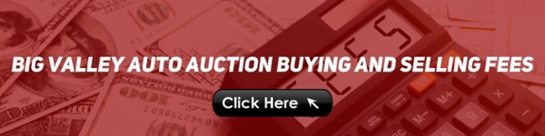 Big Valley Auto Auction Buying and Selling Fees