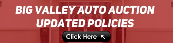 Big Valley Auto Auction Updated Policies