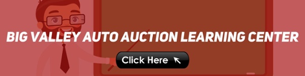 Big Valley Auto Auction Learning Center banner