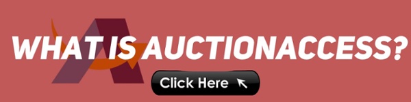 What is AuctionACCESS
