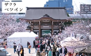 サクラベツイン