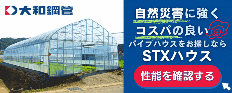 STXの性能を確認する