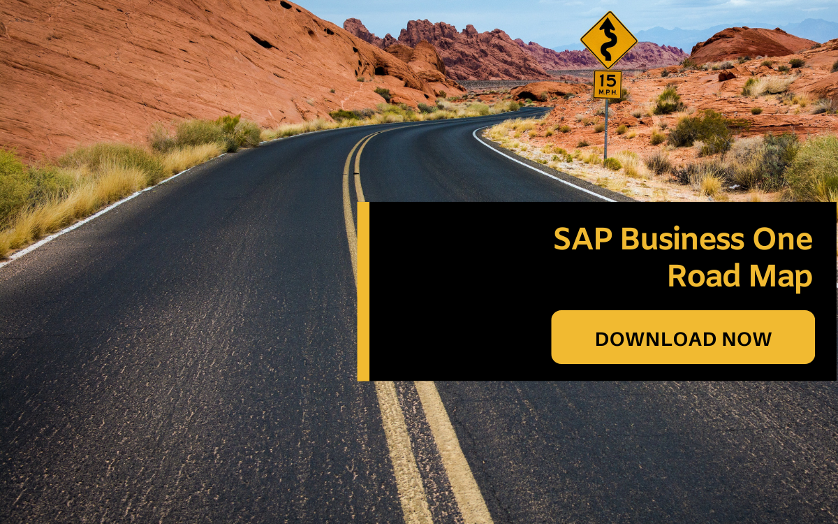 SAP CTA (8)