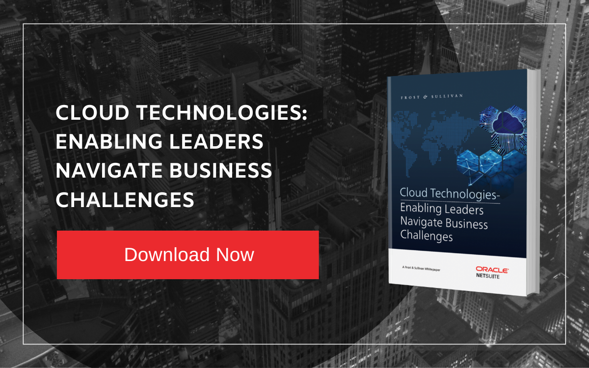 NetSuite CTA (21)