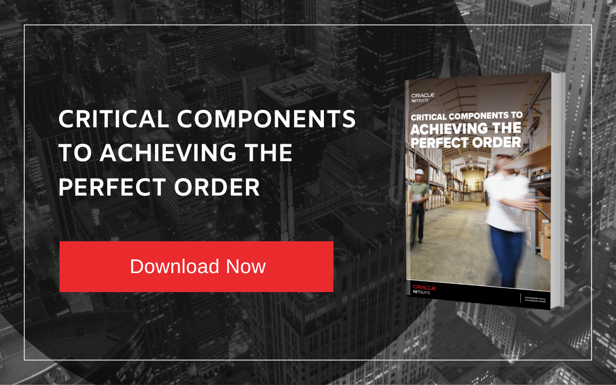 NetSuite CTA (24)