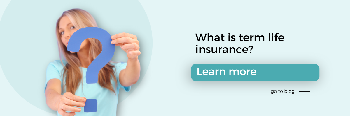 What is term life insurance blog | EGGRS