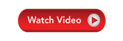 Watch our workshop video