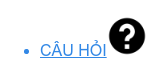 * CÂU HỎI