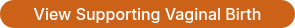 <p>View Supporting Vaginal Birth</p>