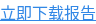 立即下载报告