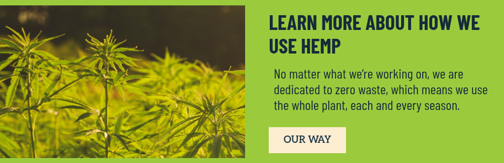 Hello-Hemp-Blog_Green-Fox