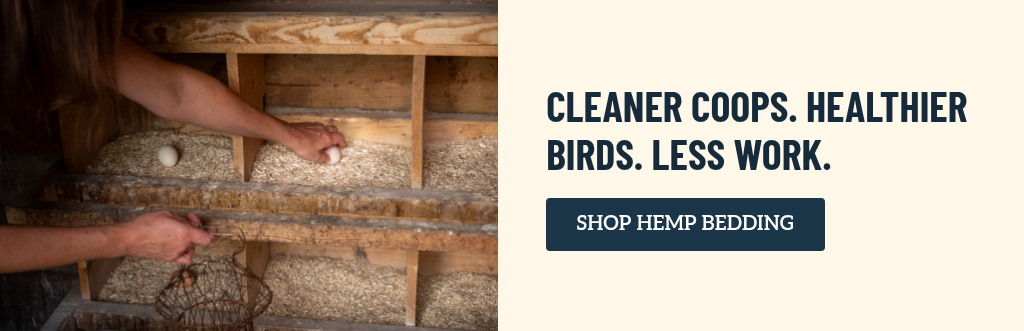 Hemp Hurd - Chicken Coop-1029
