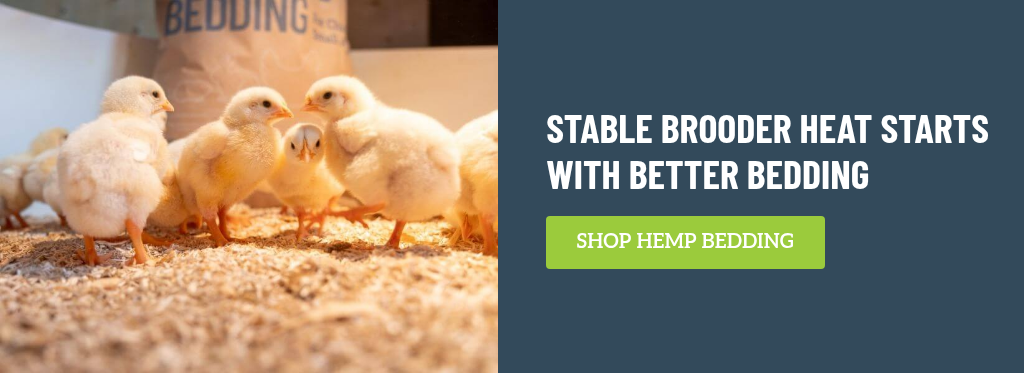 brooder hemp animal bedding
