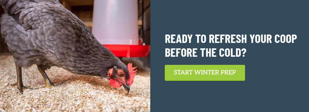 hemp hurd chicken bedding