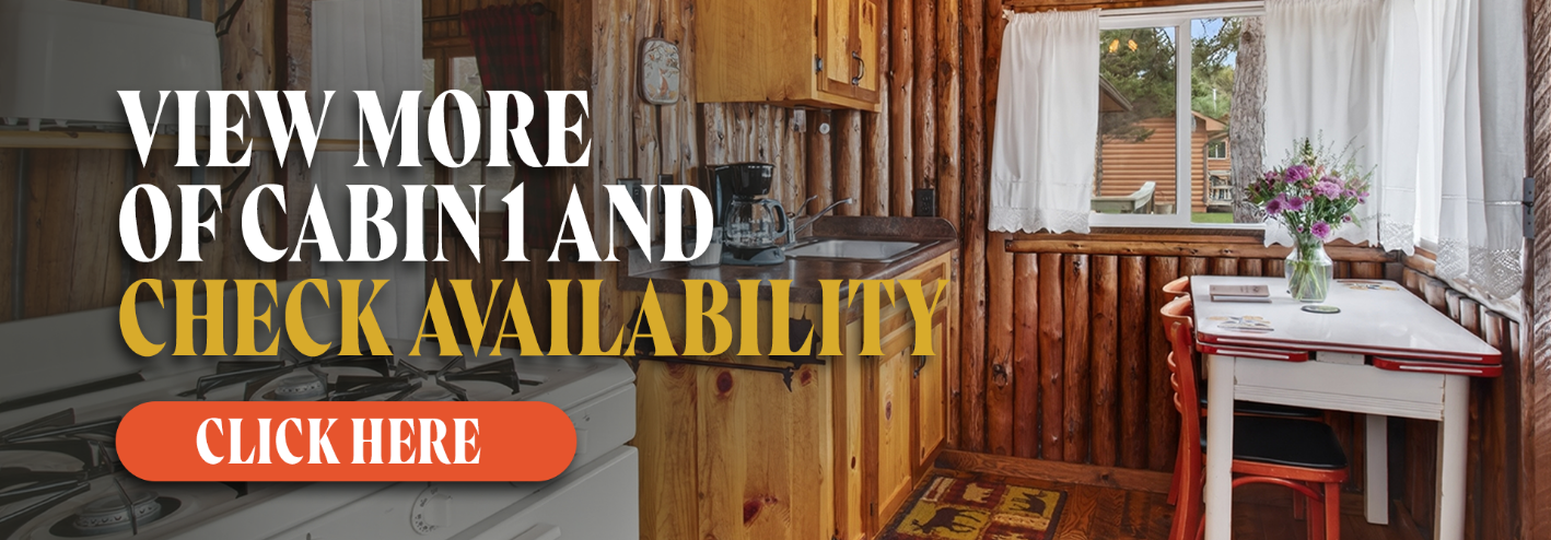 Cabin 1 CTA